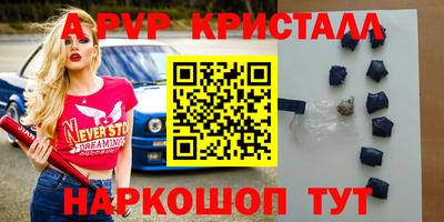 стаф Гатчина
