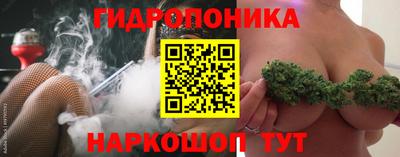стаф Гатчина