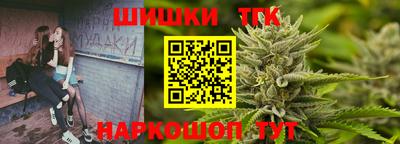 крисы Гай