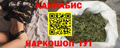 стаф Гатчина
