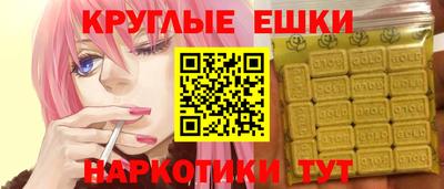 стаф Гатчина