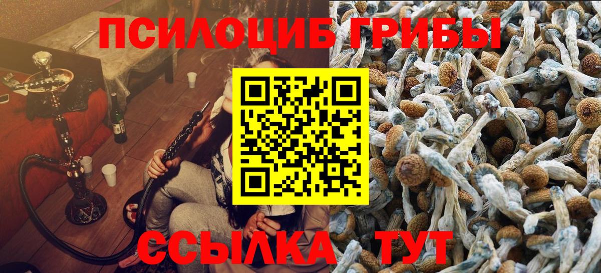 Галлюциногенные грибы MAGIC MUSHROOMS Самара